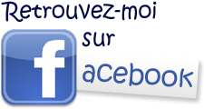 Le facebook de sophie forte